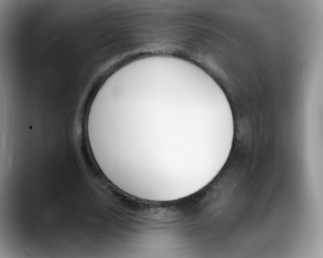 X0000088900632200706080827