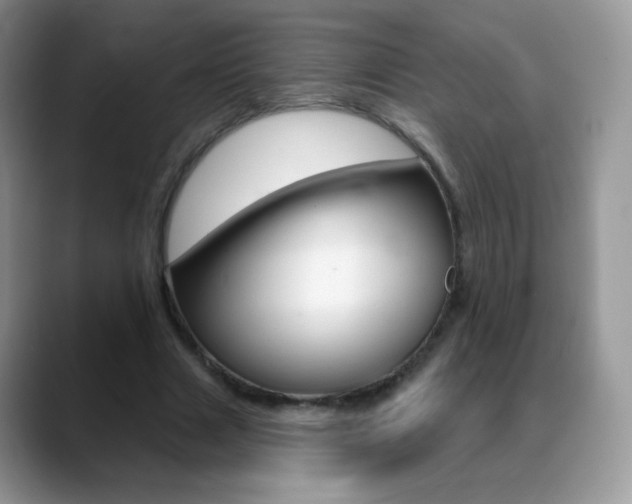X0000088900633200706080827