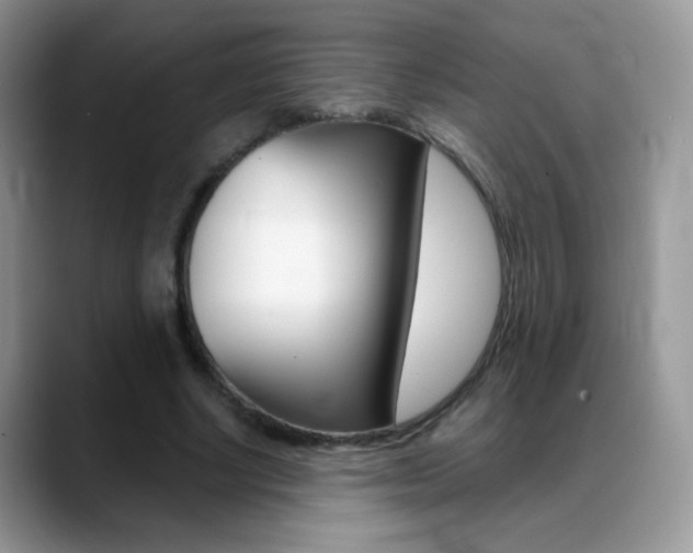 X0000088900634200706080827