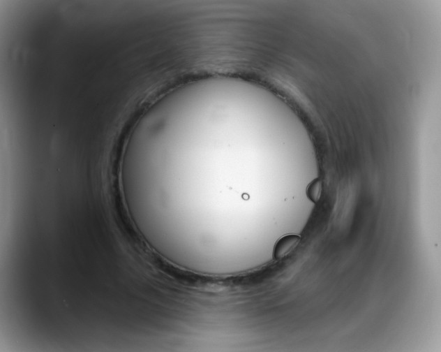 X0000088900635200706080827