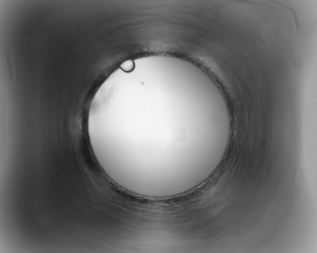 X0000088900636200706080827