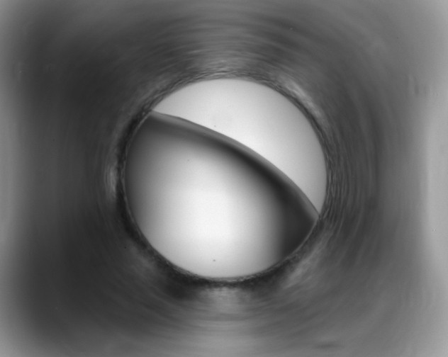 X0000088900637200706080827