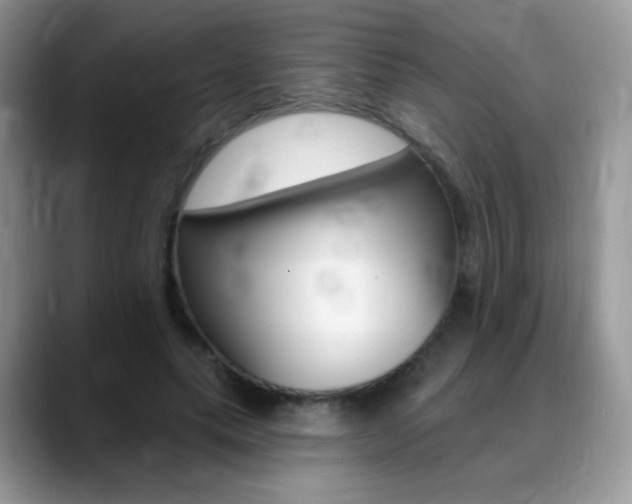 X0000088900639200706080827