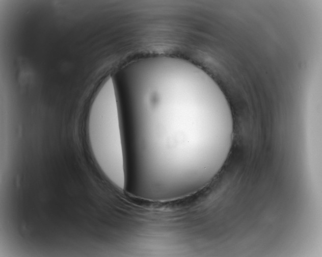 X0000088900640200706080827