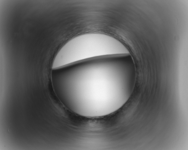 X0000088900641200706080827