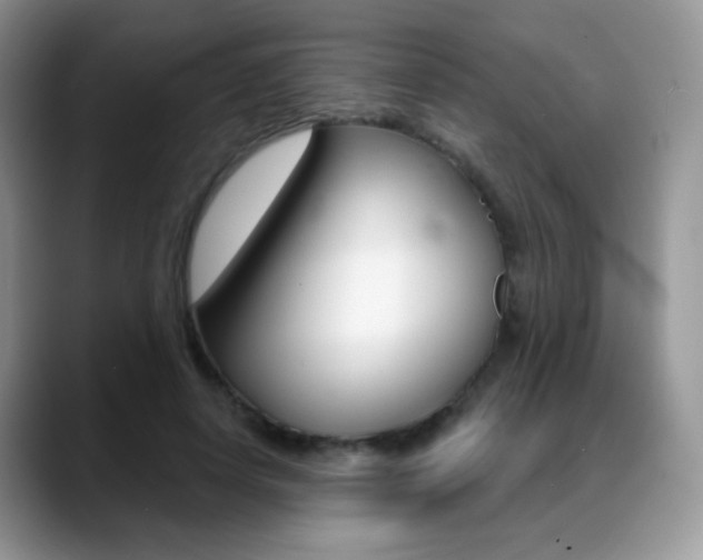 X0000088900642200706080827