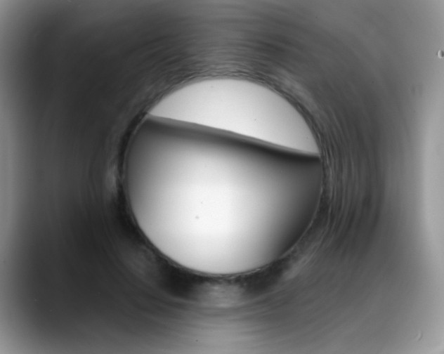 X0000088900644200706080827