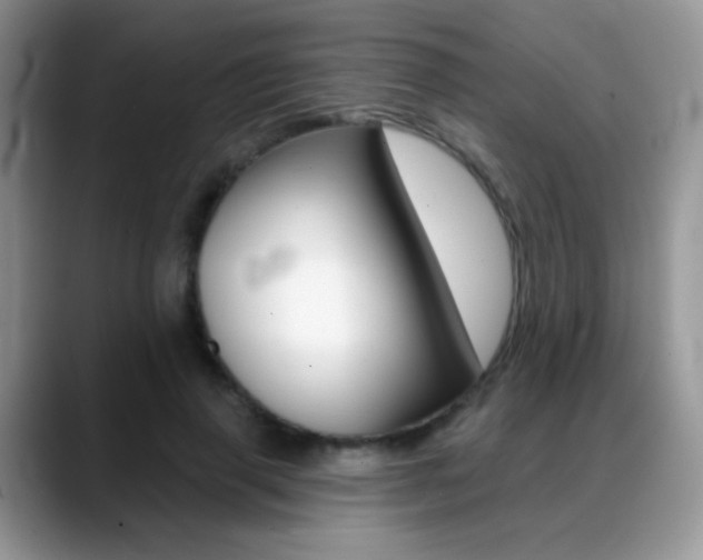 X0000088900645200706080827