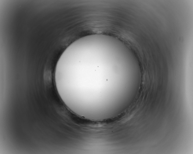 X0000088900646200706080827