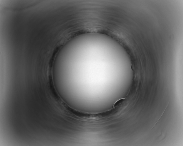 X0000088900647200706080827