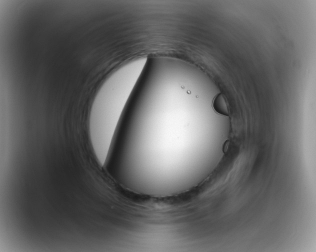 X0000088900648200706080827