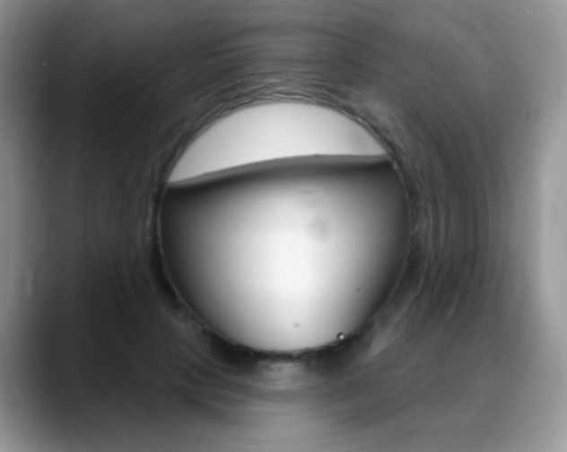 X0000088900649200706080827