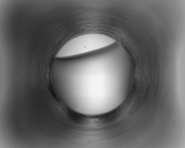 X0000088900650200706080827
