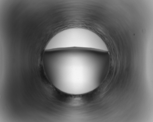 X0000088900651200706080827