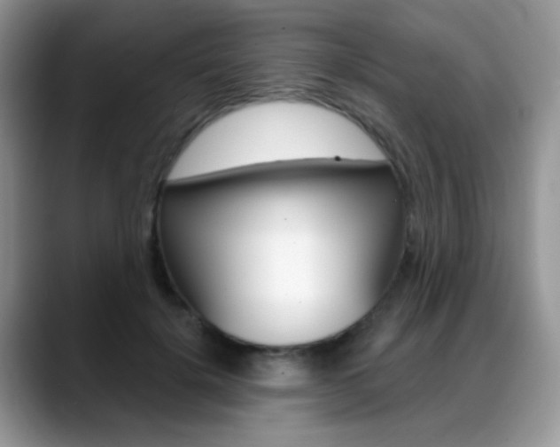 X0000088900652200706080827
