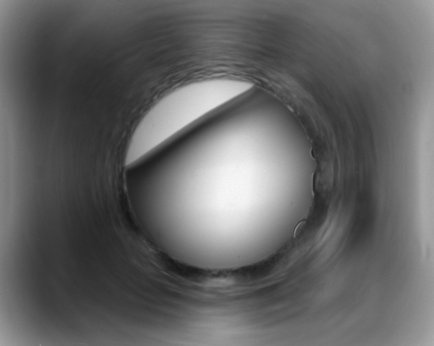 X0000088900653200706080827
