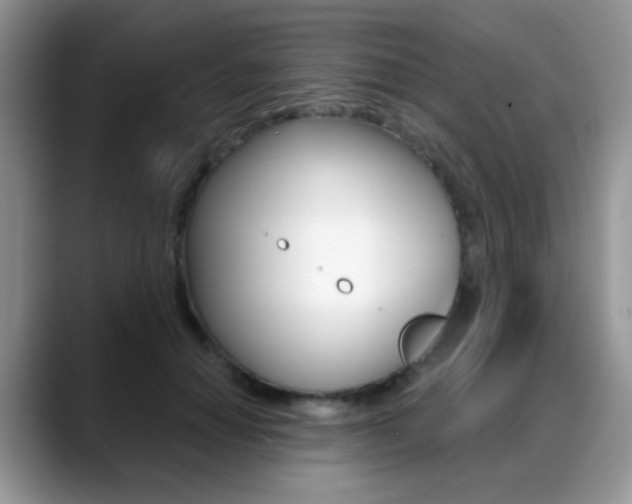 X0000088900654200706080827