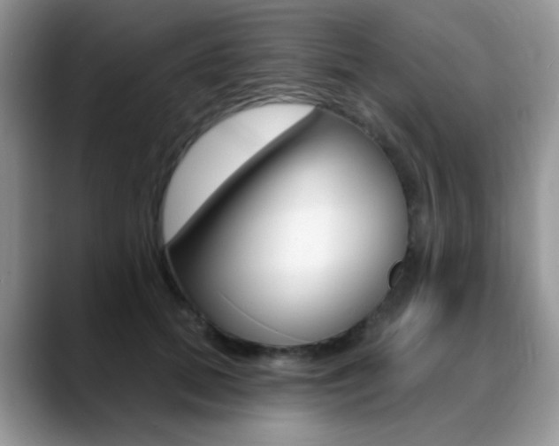 X0000088900655200706080827