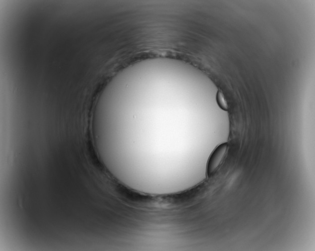 X0000088900656200706080827