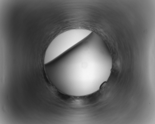 X0000088900658200706080827