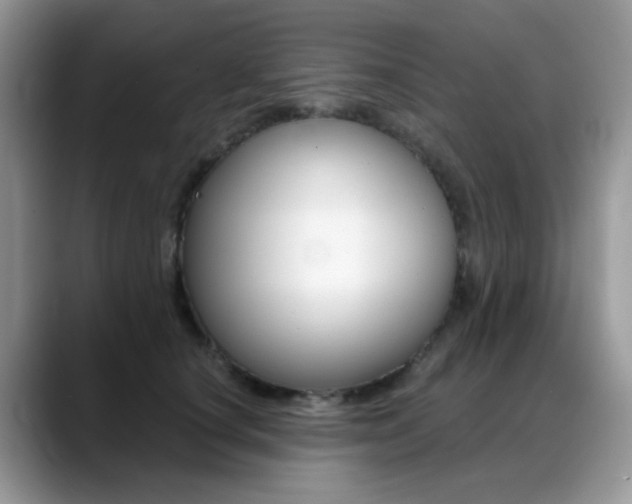 X0000088900660200706080827