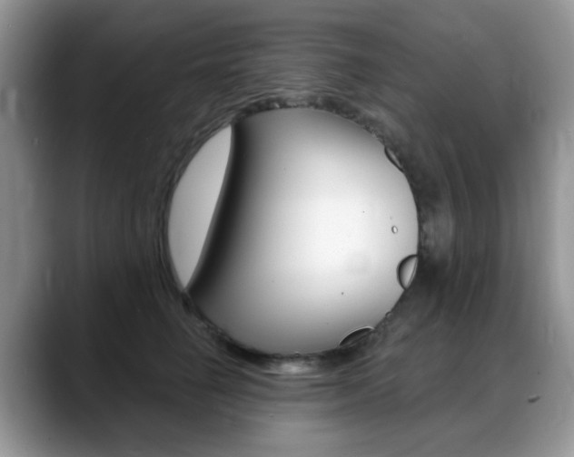 X0000088900662200706080827