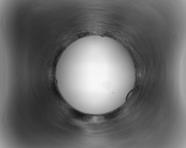 X0000088900663200706080827