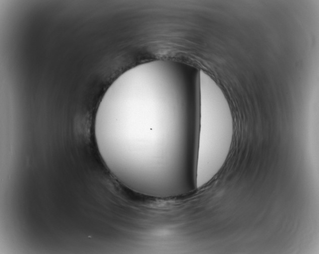 X0000088900664200706080827