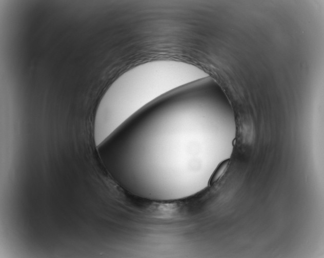 X0000088900665200706080828