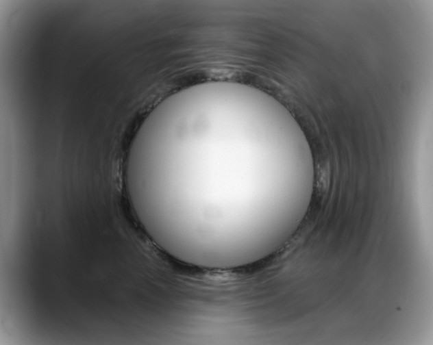 X0000088900666200706080828