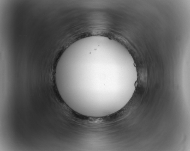 X0000088900667200706080828