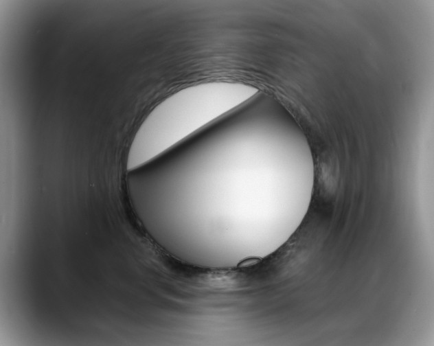 X0000088900668200706080828