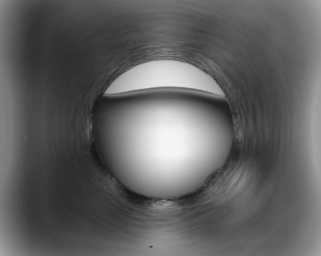 X0000088900669200706080828