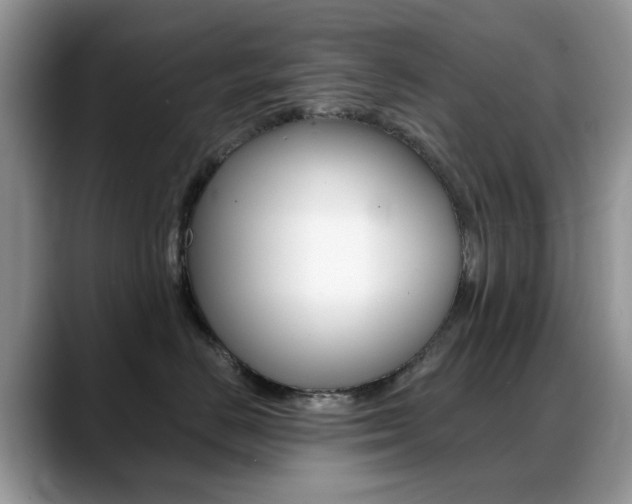 X0000088900670200706080828