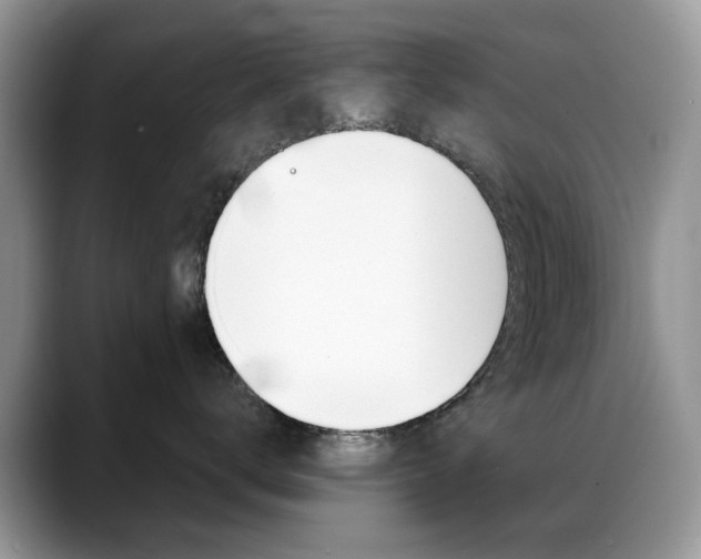 X0000088900672200706080828