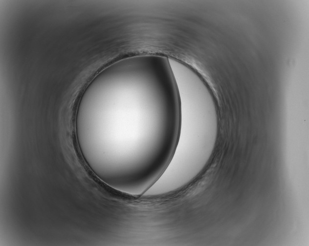 X0000088900673200706080827