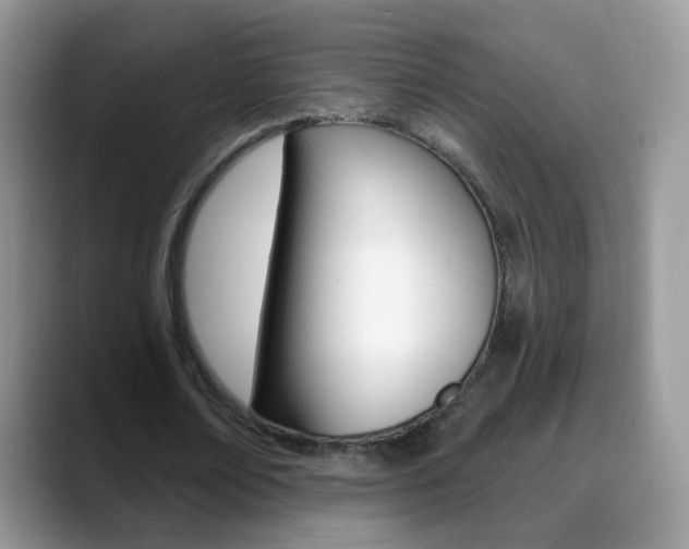 X0000088900674200706080827