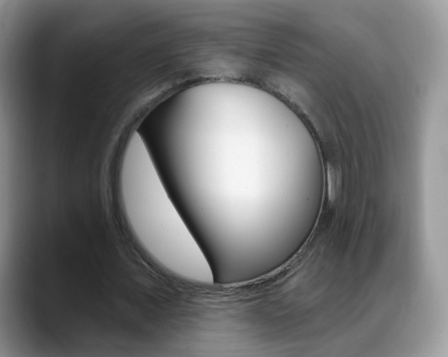 X0000088900675200706080827