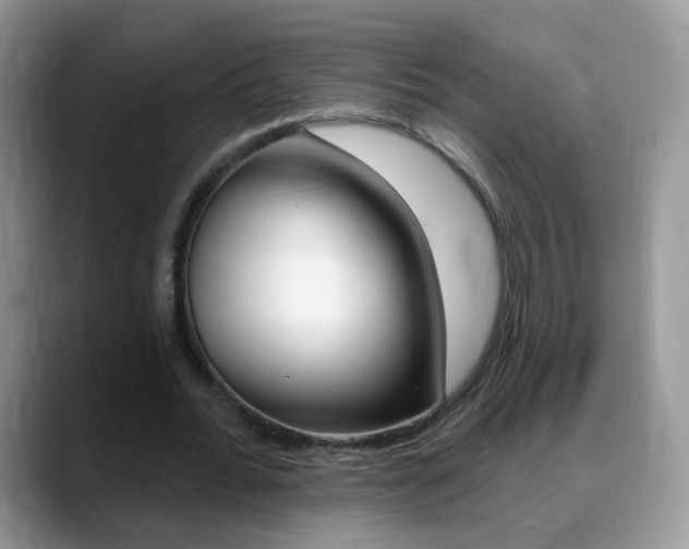 X0000088900676200706080827