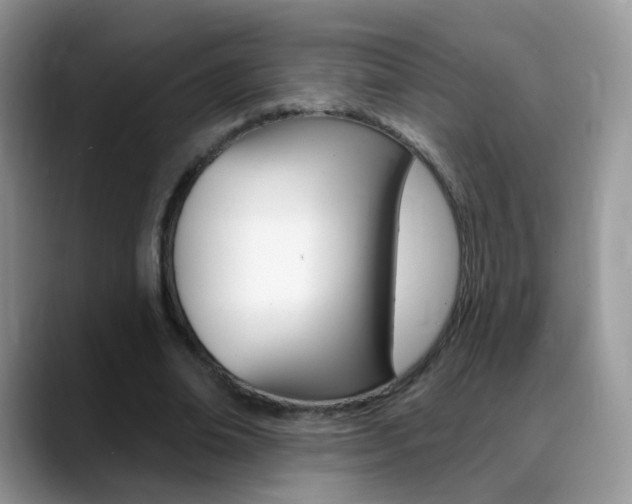 X0000088900678200706080827