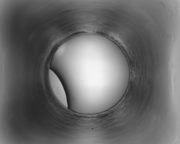 X0000088900679200706080827