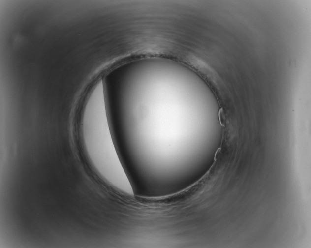 X0000088900680200706080827