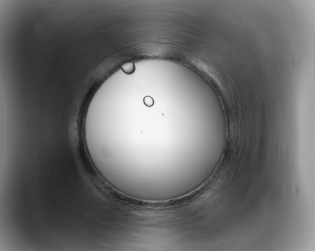 X0000088900682200706080827