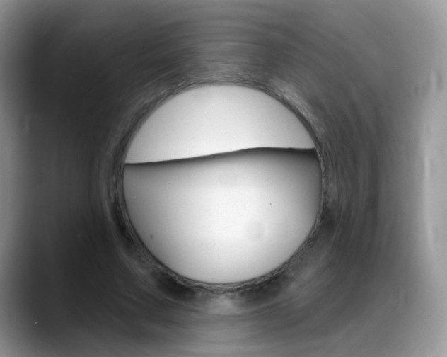 X0000088900683200706080827