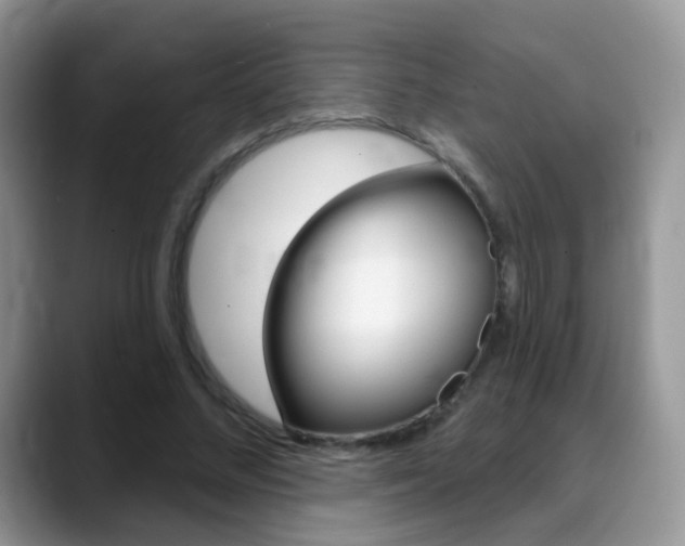 X0000088900684200706080827