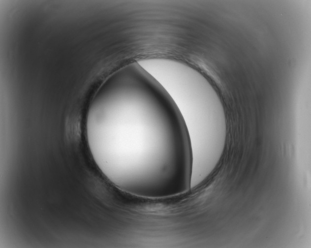 X0000088900685200706080827