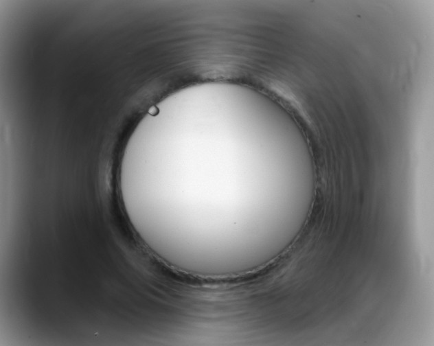 X0000088900686200706080827