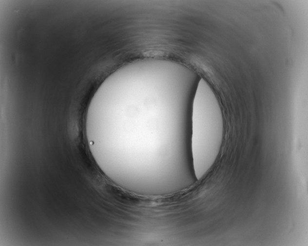 X0000088900687200706080827