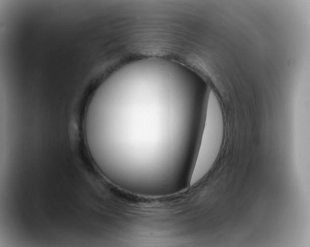 X0000088900688200706080827