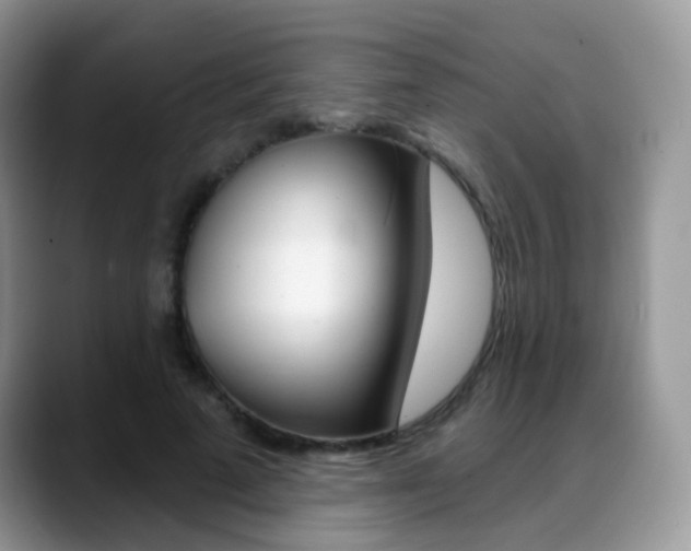 X0000088900689200706080827